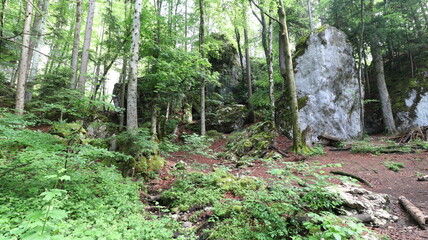 Rund um den see mit bergen flüßen und seen