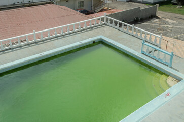 Untreated Water In A Swimming Pool