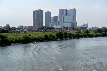Fototapeta premium 多摩川の風景 Tamagawa River Japan