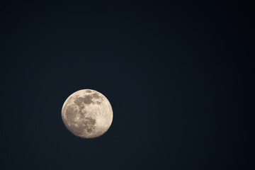 Mond