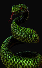 3d Illustration green snake on dark black background, Close up shot, 3D rendering model with clipping path.