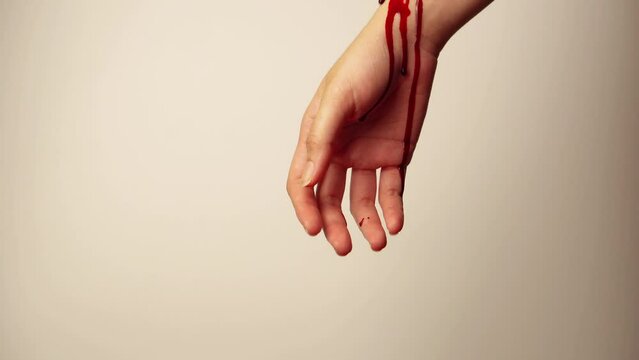 bloody hands on white background
