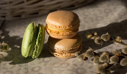 Two creamy beige and green macarons on a flat white and gray ground near some spring plants