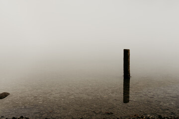 A wooden post in the water on a foggy day. Cristal clear water, reflection. White background with haze and fog. Autumn landscape in Slovenia. Copy space.