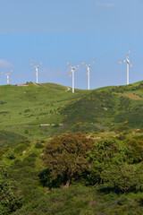 wind turbines on the top of a hill and trees that compare