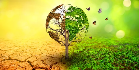 Zelfklevend Fotobehang boom in twee met zeer verschillende omgevingen Earth Day of World Environment Day Global Warming and Pollution © sarayut_sy