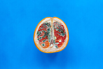 The concept of vaginal disease: venereal diseases, Vaginal yeast infection, Syphilis. Orange with mold on blue background - 506786762