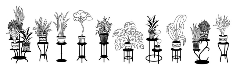 A set of flowers in pots on stands, home decor. Hand-drawn, linear black-and-white sketch. Large indoor plants outdoors. Vector illustration