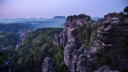 A goose at dawn - Eine Gans im Morgengrauen