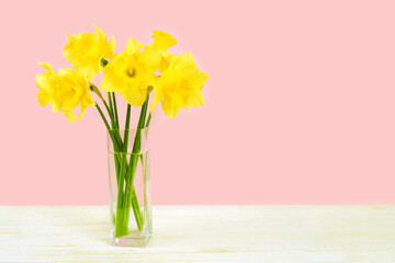 Bouquet of yellow daffodils, narcissus in transparent vase on pink background with copy space. Mockup, template for holiday, birthday, mother's day on yellow background with copy space for text.