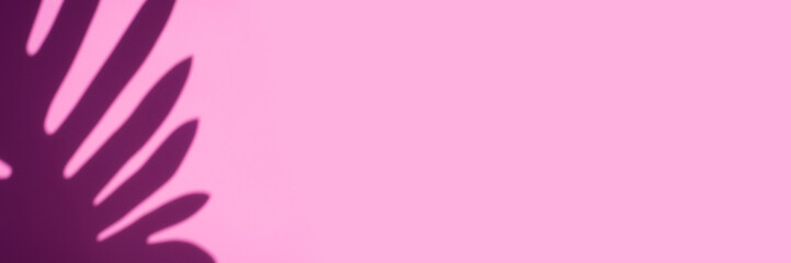 Fototapeta premium Trending concept in natural materials with palm leaves shadow on pink background. Presentation with daylight. Natural blurred shade. Summer sunlight from herb. Abstract beautiful backdrop for text or