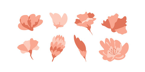 Tropical flowers set. Rose, peony buds. Abstract bloom elements in pink, terra cotta colors. Vector isolated illustration.