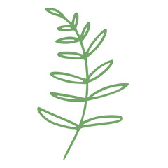 little greem leaves and flowers