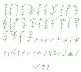 little greem leaves and flowers