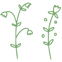 little greem leaves and flowers