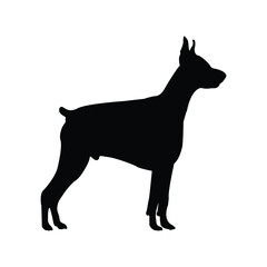 The Dobermann, Dorbeman Pinscher Silhouette