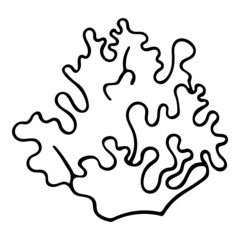 Hand drawn black and white Coral doodle sketch illustration.