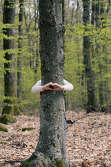 Young generation embracing nature, with a hug at a tree