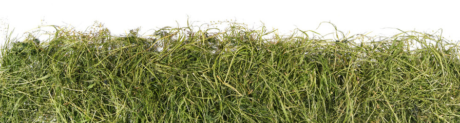 Heu Haufen freigestellt auf weißem Hintergrund