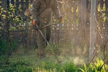 Lawn mover on green grass. Machine for cutting lawns.