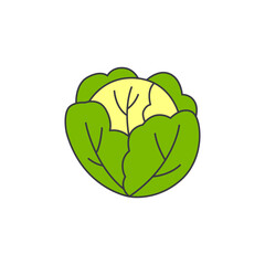 Cabbage icon in color, isolated on white background 