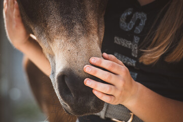 Ponyliebe / Pferdeliebe