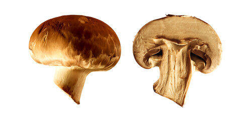 Fresh champignons isolated on white background. Set of fresh whole and sliced king brown mushrooms. Fresh harvest close-up. Macro.