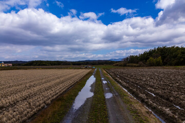 Fototapeta na wymiar 滋賀県の田舎道