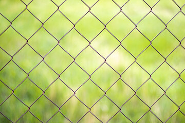 Fototapeta premium Mesh cage in the garden with green grass as background. Metal fence with wire mesh. Blurred view of the countryside through a steel iron mesh metal fence on green grass. Abstract background.