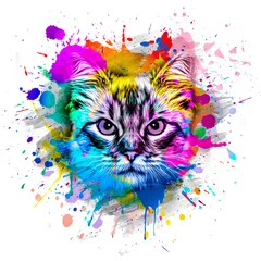 Foto op Plexiglas cat head with creative colorful abstract elements on light background © reznik_val