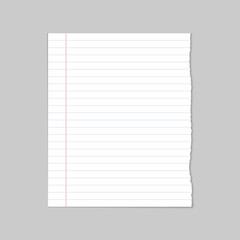 Ripped blank white line school paper,