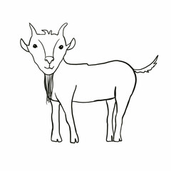 farm,farm,farmhouse,goats,goats,cows,farm animals,pets ,milk,cow gives milk,cow grazes in the meadow,cow on the farm,goat gives milk,goat grazes in the meadow,green meadows,sky,clouds,nature,ecology,e