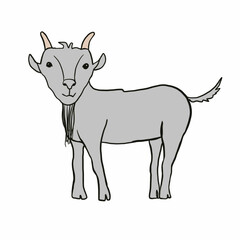 farm,farm,farmhouse,goats,goats,cows,farm animals,pets ,milk,cow gives milk,cow grazes in the meadow,cow on the farm,goat gives milk,goat grazes in the meadow,green meadows,sky,clouds,nature,ecology,e