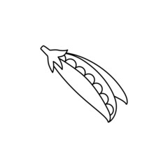 Beans, green peas icon in line style icon, isolated on white background