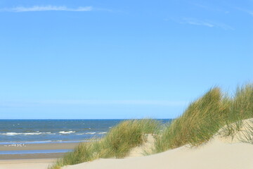 Dünen und  Meer bei Oostduinkerke