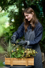 Portrait of a young beautiful florist in an apron who plants flowers in a pot in the garden