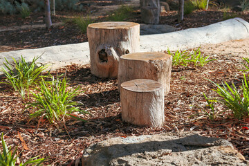 landscaping with cut tree stump stepping stones
