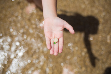 child's hand with pebble stones found on beach by sea. family summer vacation