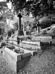 Cemetery in Wales with ornate head stones - traditional 19th century graveyard in monochrome.