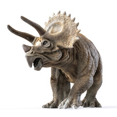 triceratops dinosaur on white rendering 3d rendering - obrazy, fototapety, plakaty