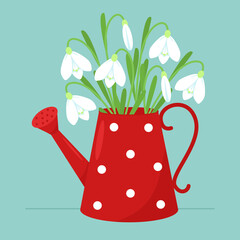 Red watering can with primroses and snowdrops on a blue background. Spring. Vector illustration in flat style	