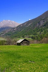 Prairie en montagne 