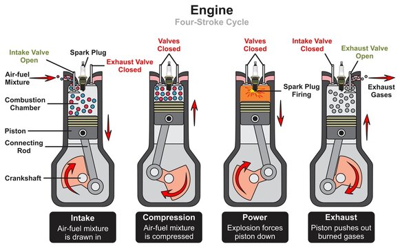 Automobile car engine four stroke cycle infographic diagram intake compression power exhaust stage auto vehicle mechanics dynamics physics science education system vector drawing chart