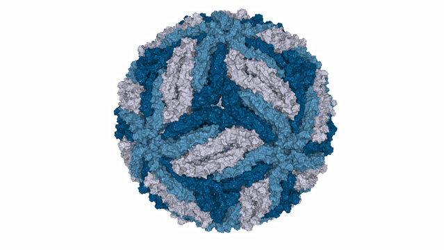 3D illustration of a Zika virus molecular surface rendered in the shades of blue on white background.