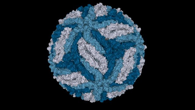 3D molecular structure of a Zika virus rendered in the shades of blue on a black background.