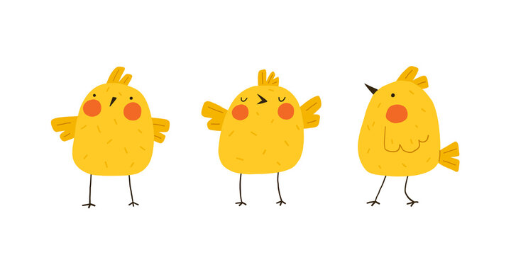 Set of cute yellow chickens. Newborn little funny chicks. Elements for Easter designs. Cartoon vector illustration.
