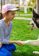 The dog gives a paw to a man. Selective focus.