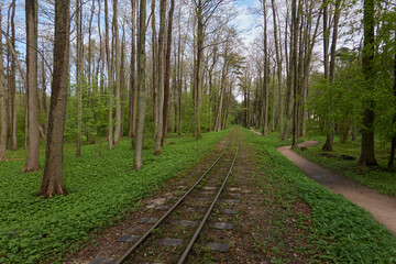 Narrow-gauge railway in a forest (public park). Idyllic landscape. Ventspils, Latvia. National...