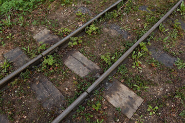 Narrow-gauge railway in a forest (public park). Ventspils, Latvia. National landmarks, retro...