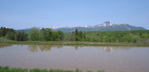 水田に映るニセコ連峰 / Niseko mountain range reflected in rice fields